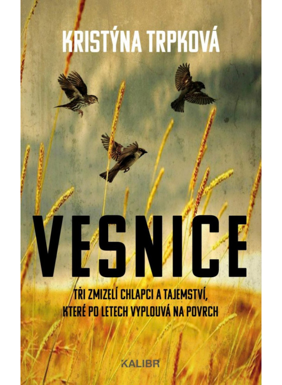 Levně Vesnice