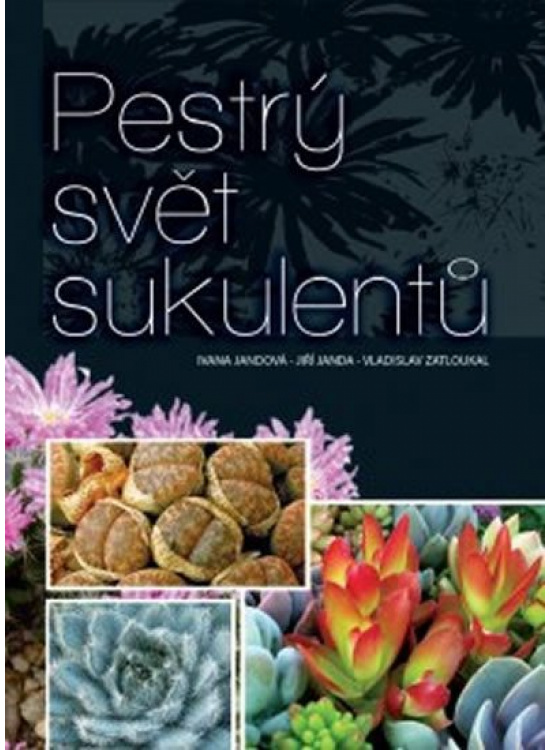 Levně Pestrý svět sukulentů