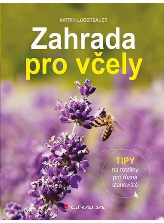 Zahrada pro včely - Tipy na rostliny pro různá stanoviště