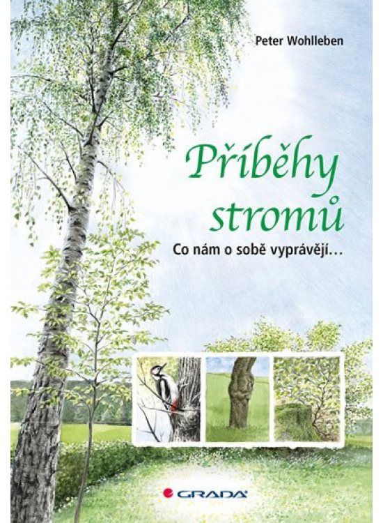 Levně Příběhy stromů - Co nám o sobě vyprávějí...