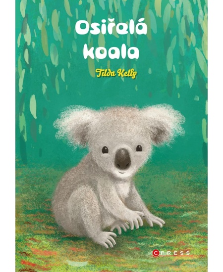 Osiřelá koala