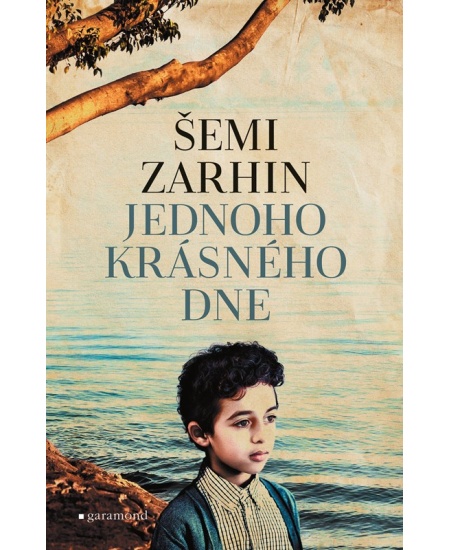 Levně Jednoho krásného dne