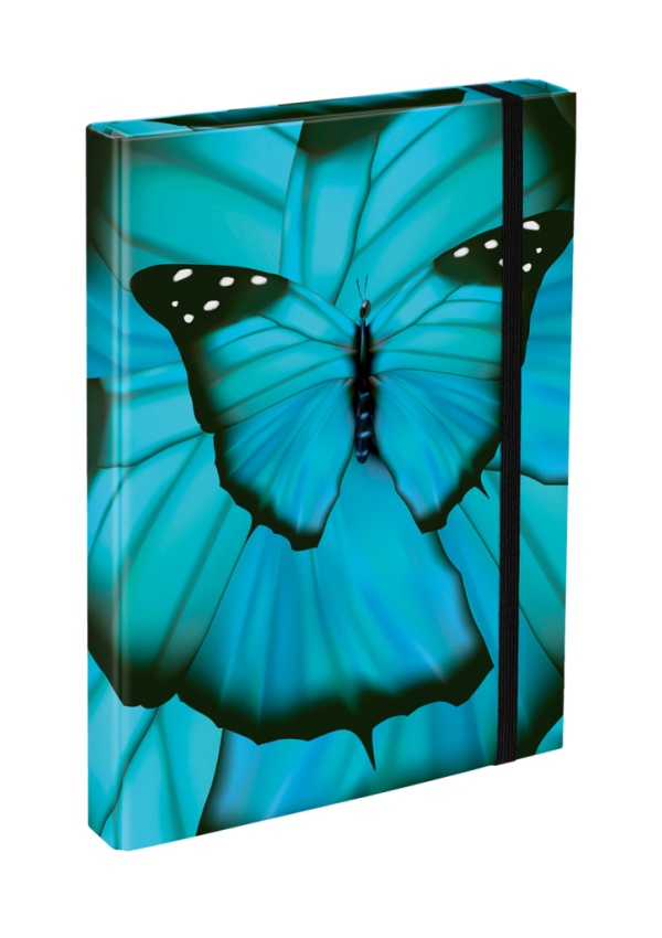 BAAGL Desky na školní sešity A4 Butterfly