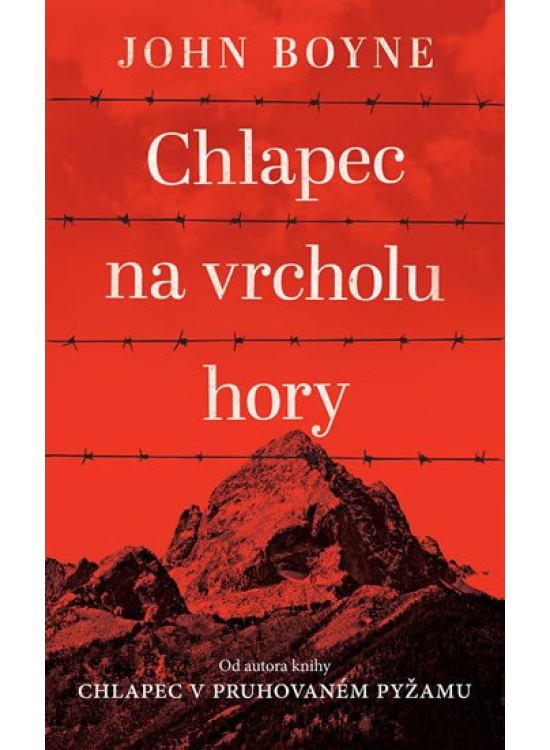 Chlapec na vrcholu hory