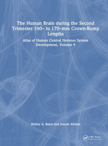 The Human Brain during the Second Trimester 160– to 170–mm Crown-Rump Lengths