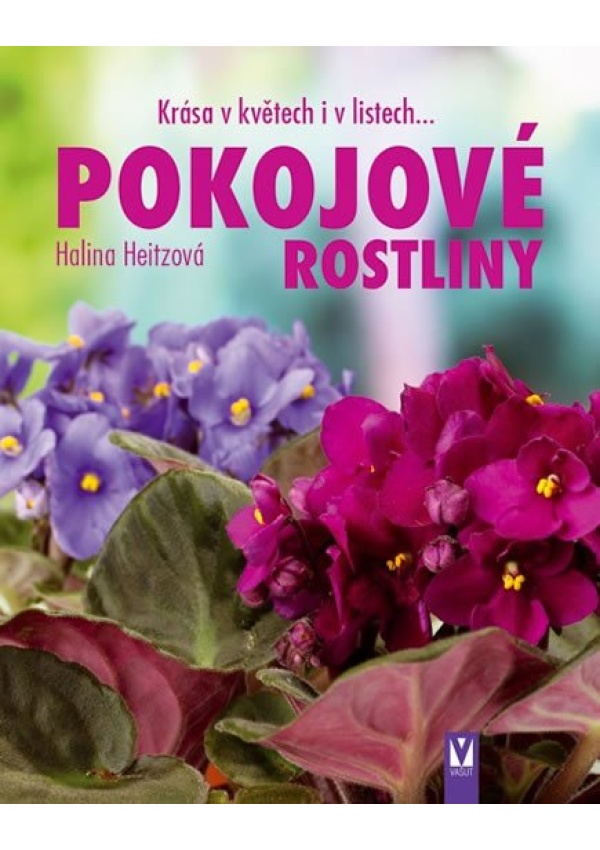 Pokojové rostliny - Krása v květech i v listech...