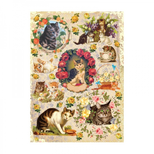 Rýžový papír A3 - Kočky