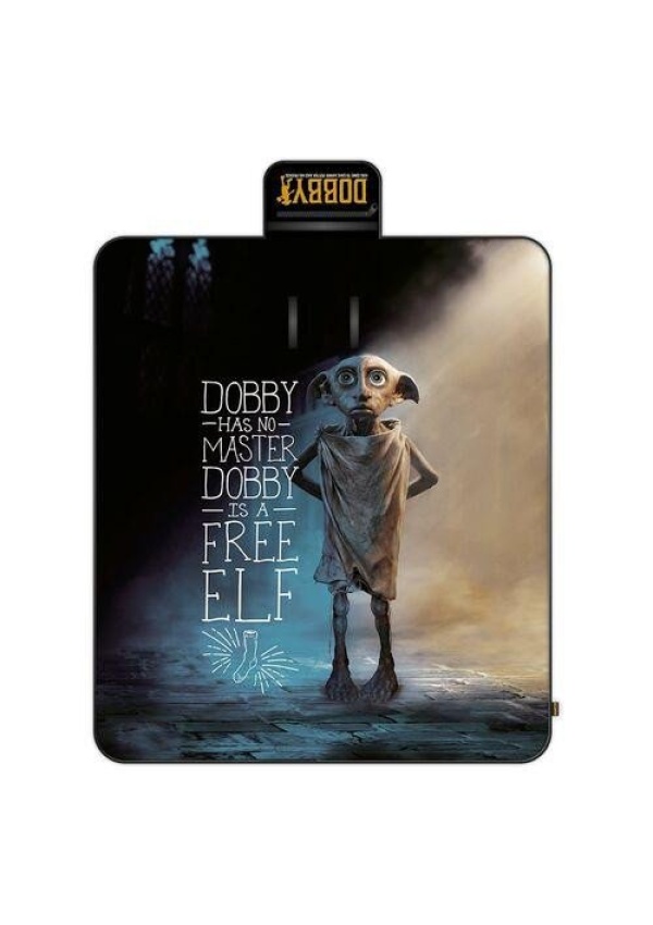 Levně Harry Potter Pikniková deka - Dobby