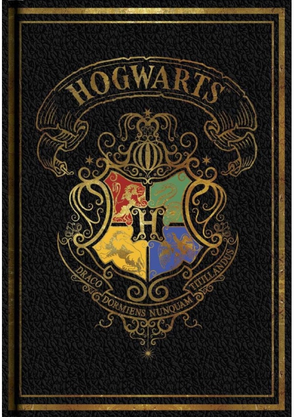 Levně Harry Potter Zápisník - Colourful černý