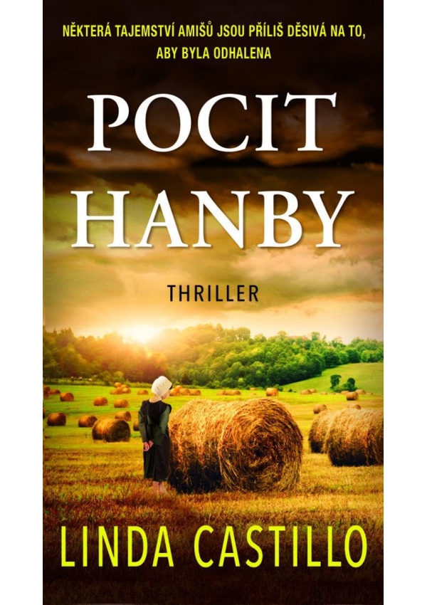Pocit hanby