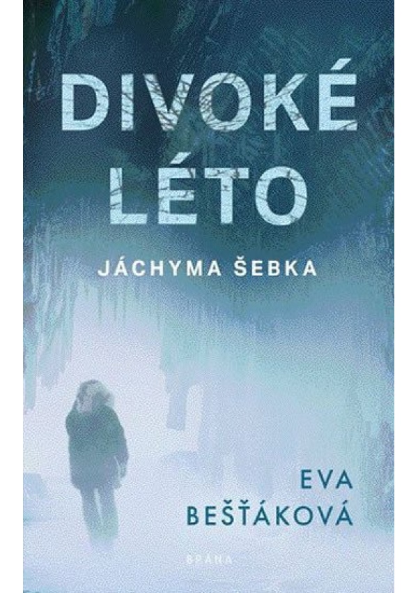 Divoké léto Jáchyma Šebka
