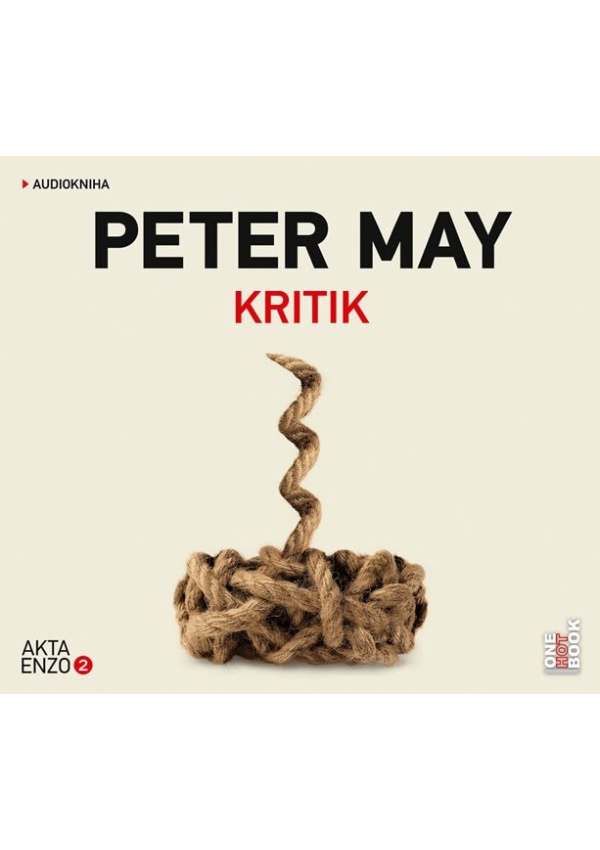 Levně Kritik - CDmp3 (Čte David Matásek)