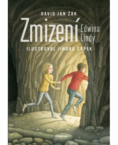 Levně Zmizení Edwina Lindy
