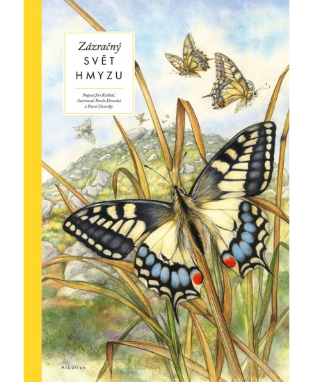 Levně Zázračný svět hmyzu