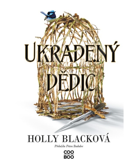 Levně Ukradený dědic