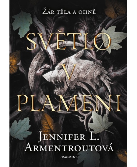 Levně Světlo v plameni