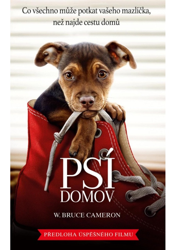 Psí domov