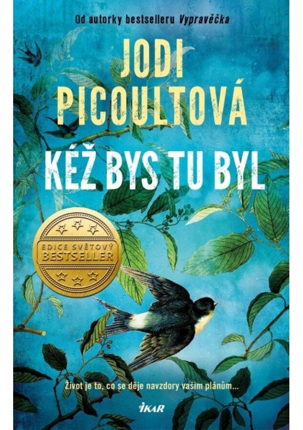Levně Kéž bys tu byl