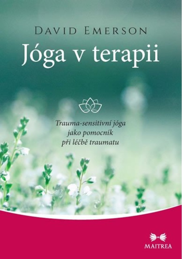 Jóga v terapii - Trauma-sensitivní jóga jako pomocník při léčbě traumatu