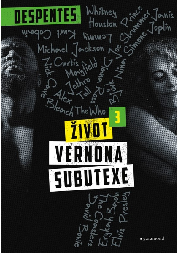 Levně Život Vernona Subutexe 3