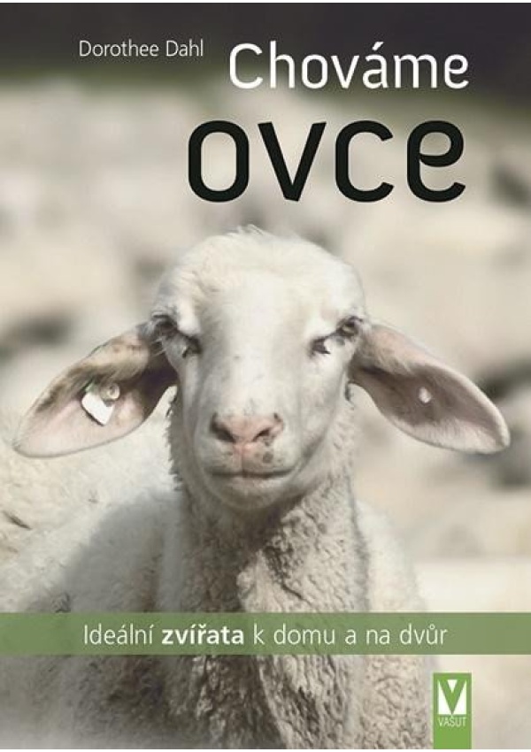 Levně Chováme ovce - Ideální zvířata k domu a na dvůr