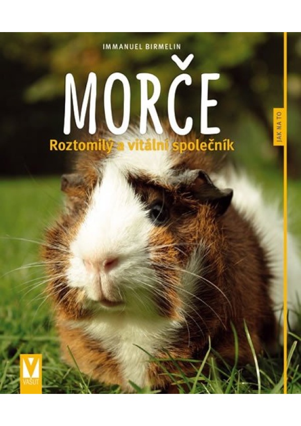 Levně Morče - Roztomilý a vitální společník
