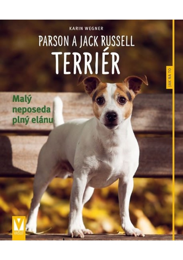 Parson a Jack Russell Terriér - Karin Wegner