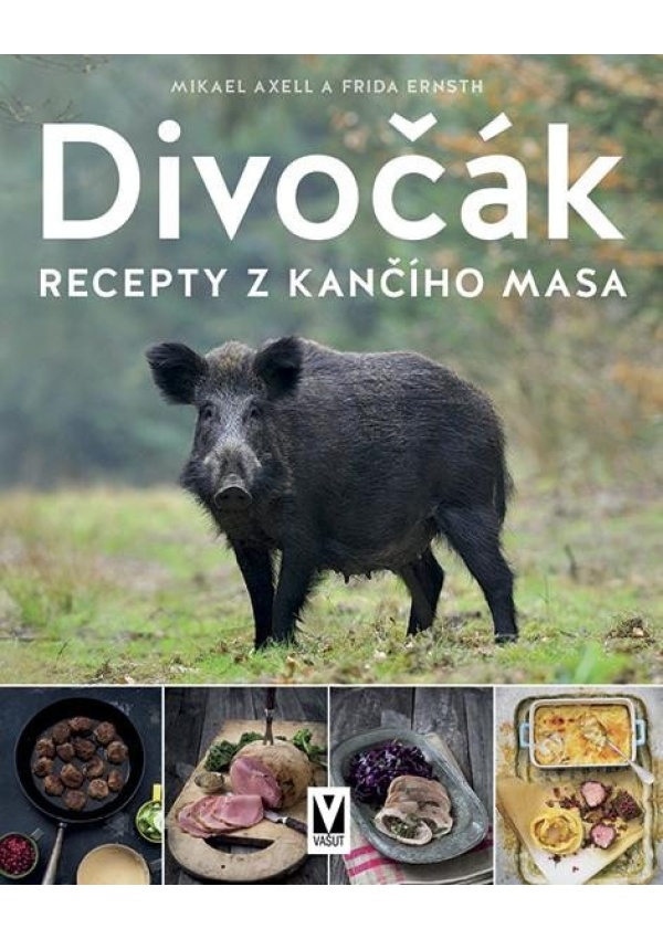 Divočák - Recepty z kančího masa