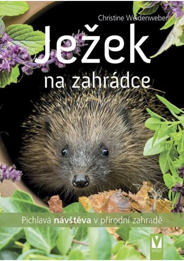 Levně Ježek na zahrádce - Pichlavá návštěva v přírodní zahradě