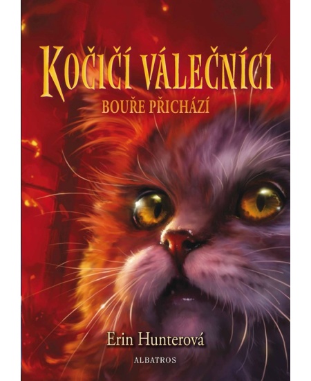 Kočičí válečníci (4) - Bouře přichází