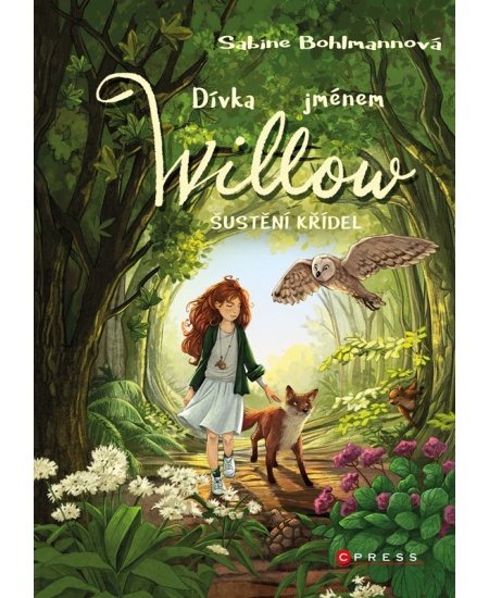 Levně Dívka jménem Willow: Šustění křídel