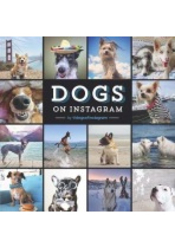 Levně Dogs On Instagram