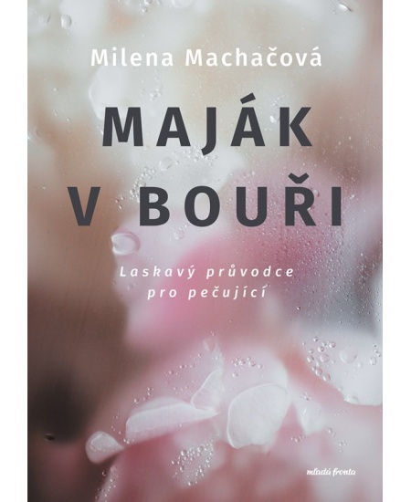 Levně Maják v bouři