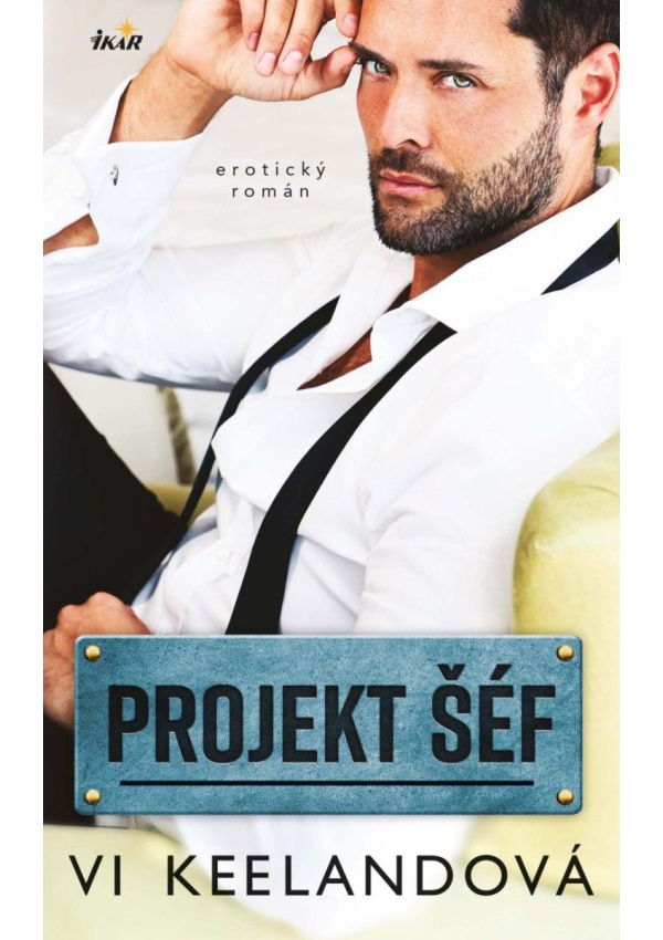 Levně Projekt šéf