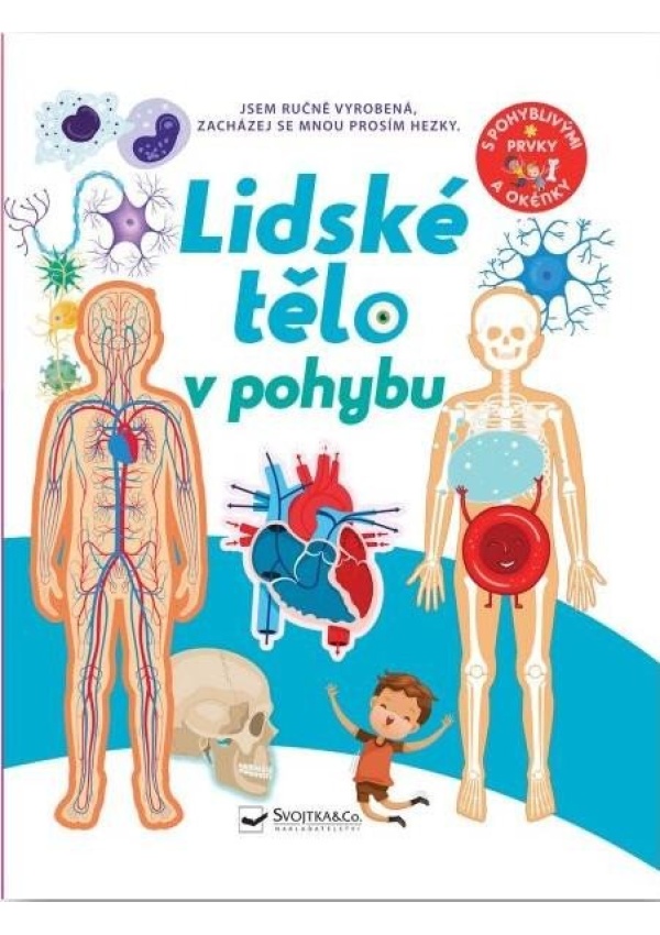Levně Lidské tělo v pohybu