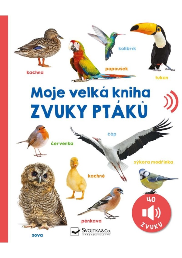 Levně Moje velká kniha Zvuky ptáků
