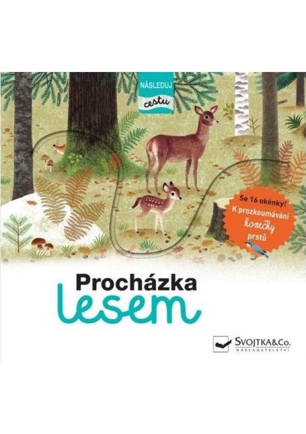 Levně Procházka lesem - následuj cestu