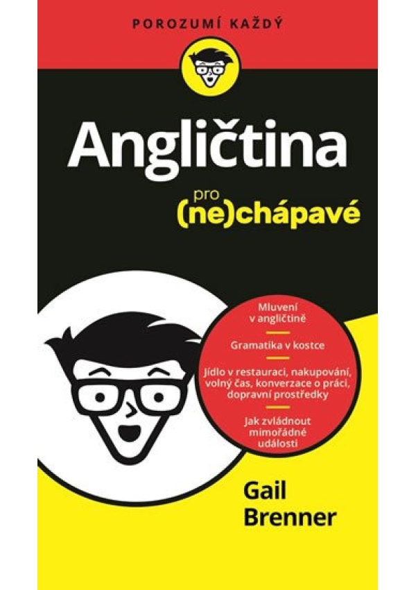 Levně Angličtina pro nechápavé