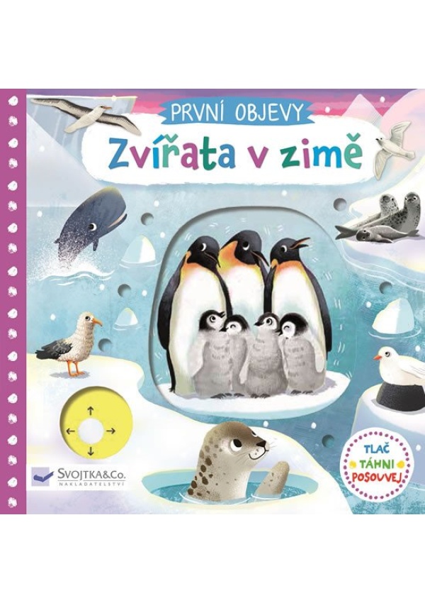 Levně První objevy - Zvířata v zimě