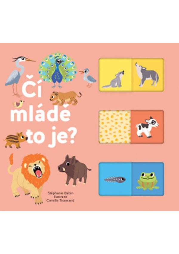 Levně Čí mládě to je?