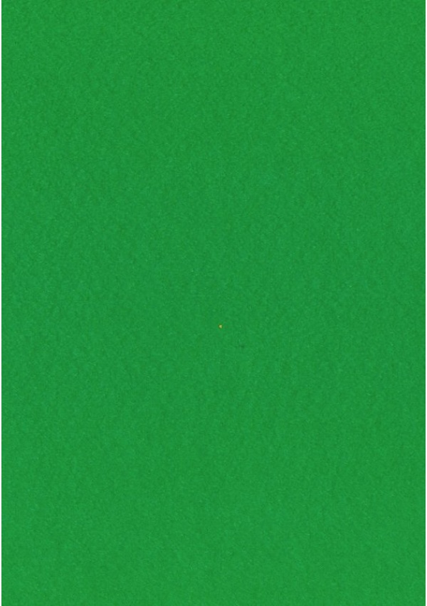 Dekorační plsť 20x30 cm, 2 mm, 350 g, zelená č. 67