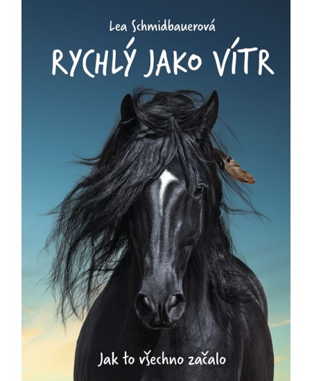 Levně Rychlý jako vítr: Jak to všechno začalo