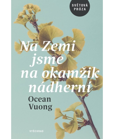 Levně Na Zemi jsme na okamžik nádherní