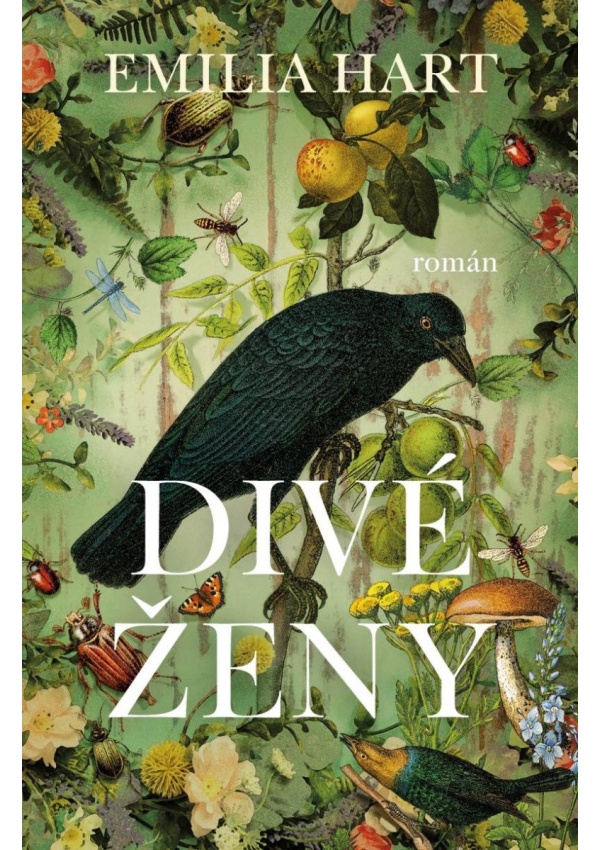 Divé ženy