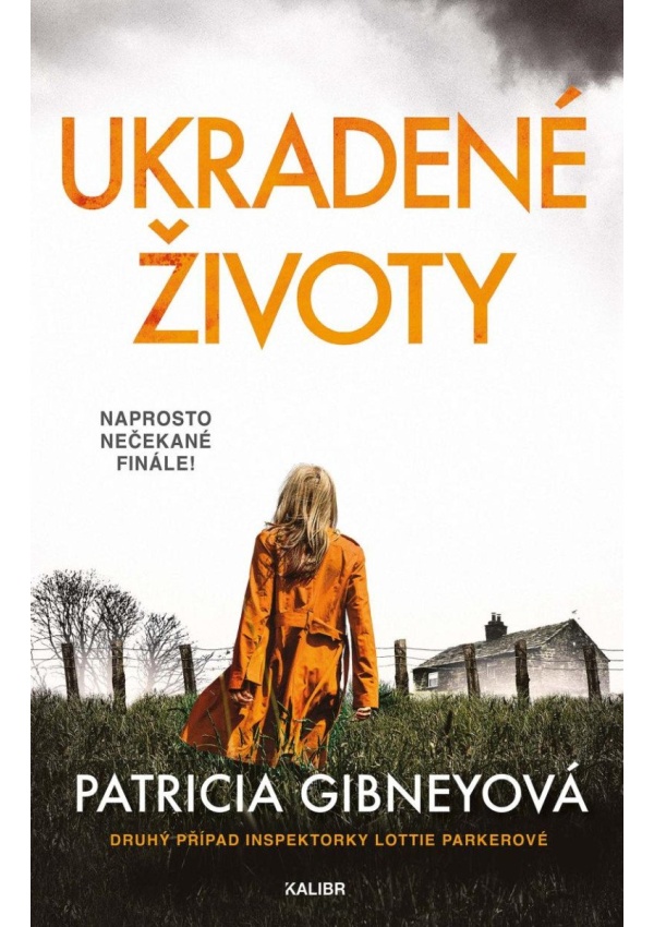 Levně Ukradené životy