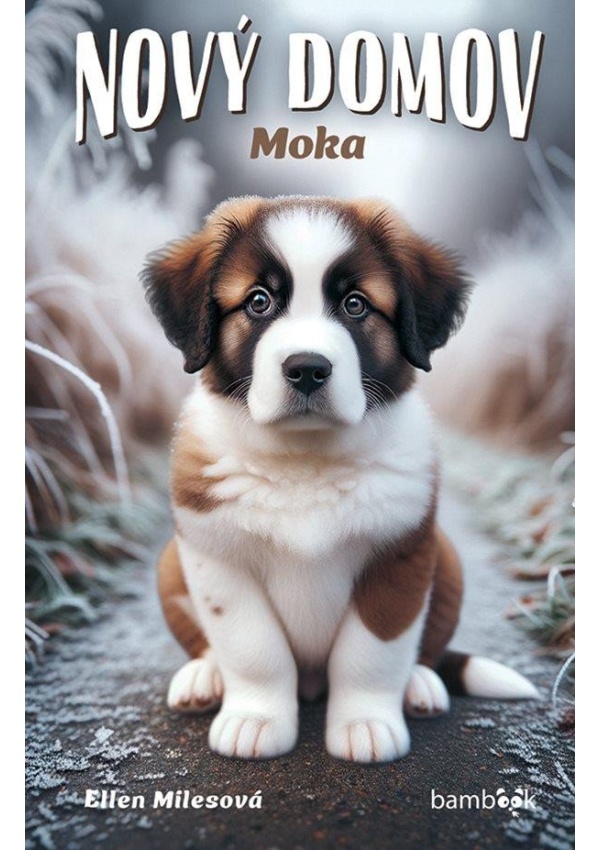 Levně Nový domov – Moka