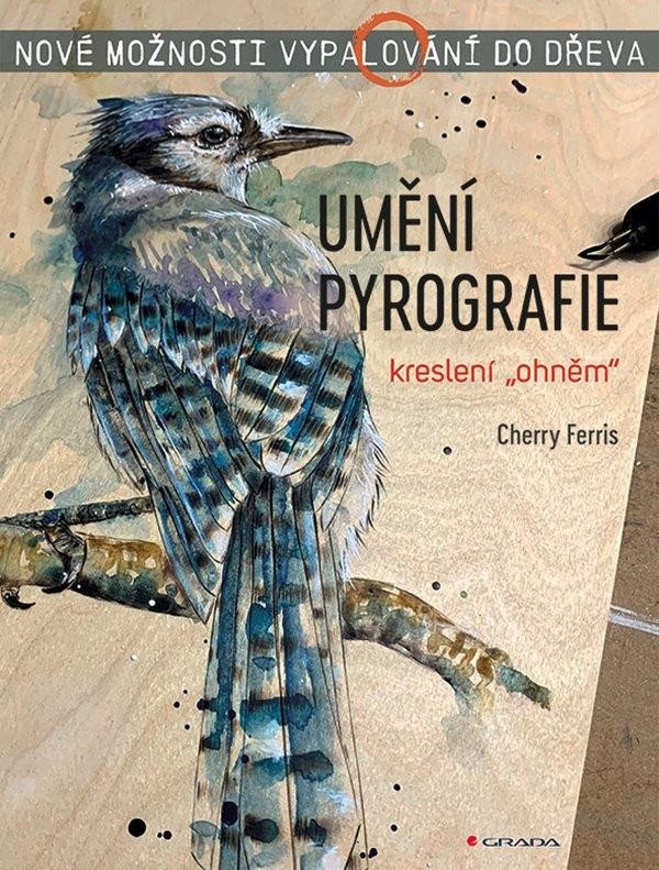 Levně Umění pyrografie - Nové možnosti vypalování do dřeva
