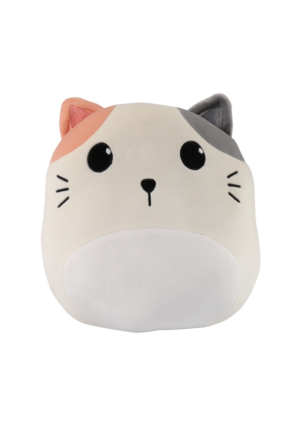 Polštář a deka - Kočka