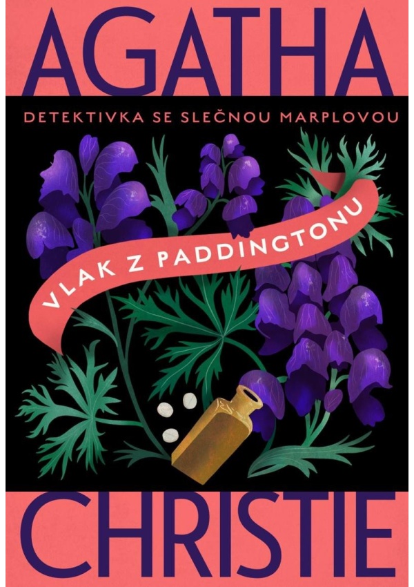 Levně Vlak z Paddingtonu