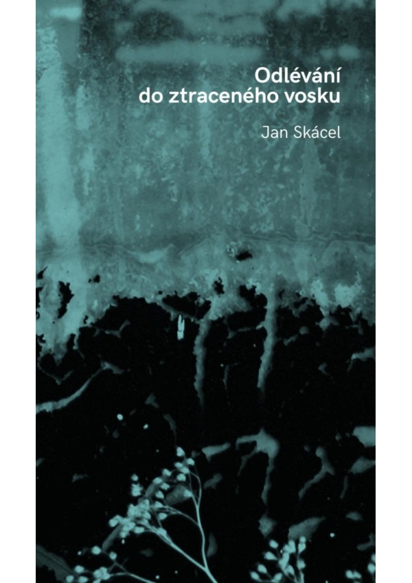Levně Odlévání do ztraceného vosku